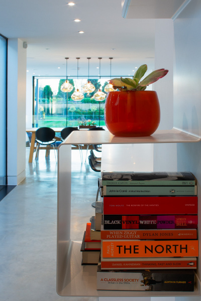 Floating shelves with books and plants