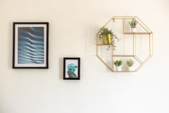 Pictures hanging on a wall, along with a hanging feature shelf with plants